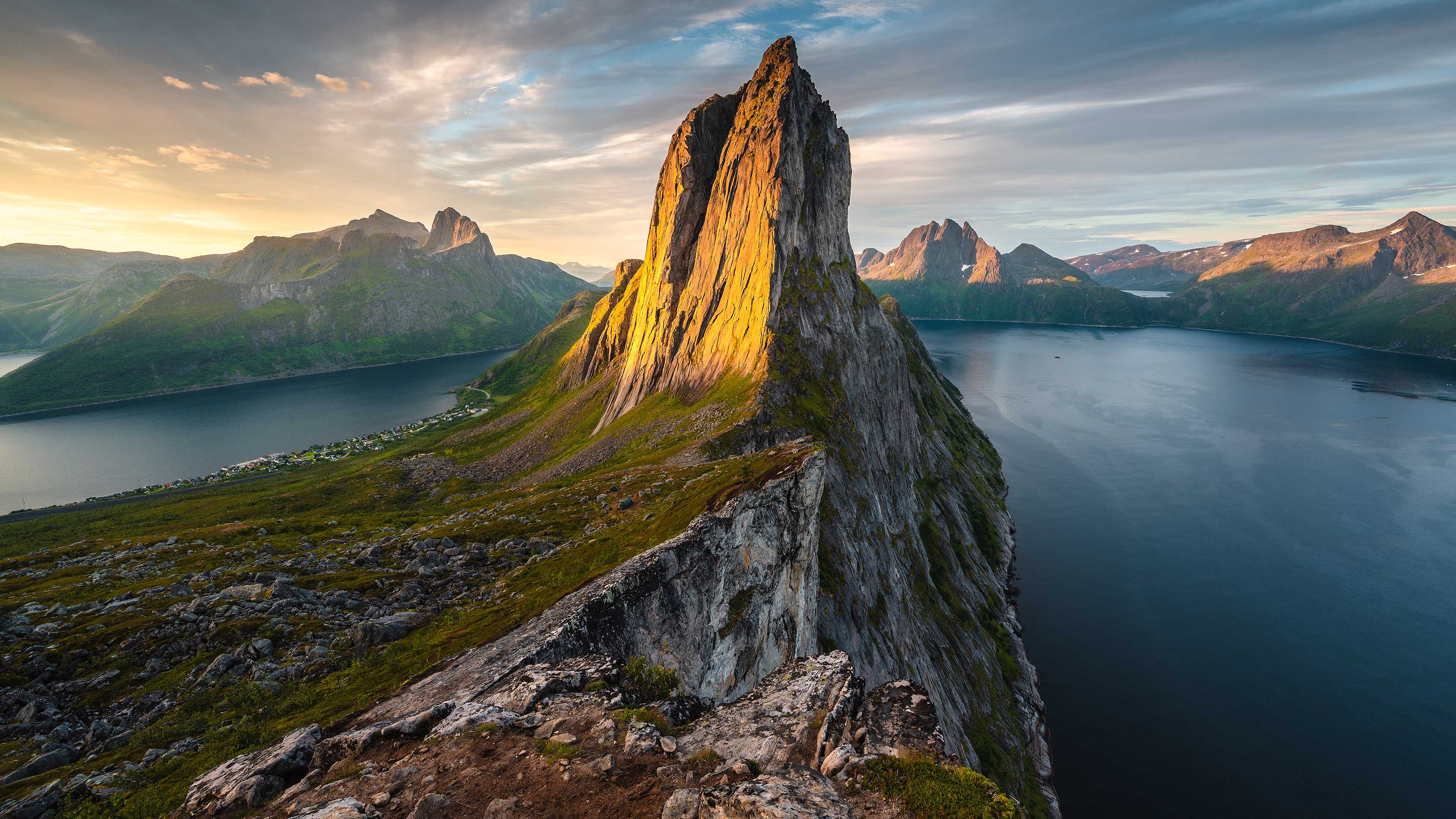 Lush Forest Trail with Sunbeams